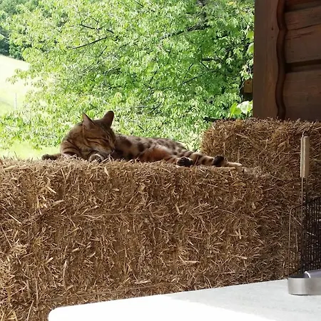 Wislanski Z Bajki Villa Wisła