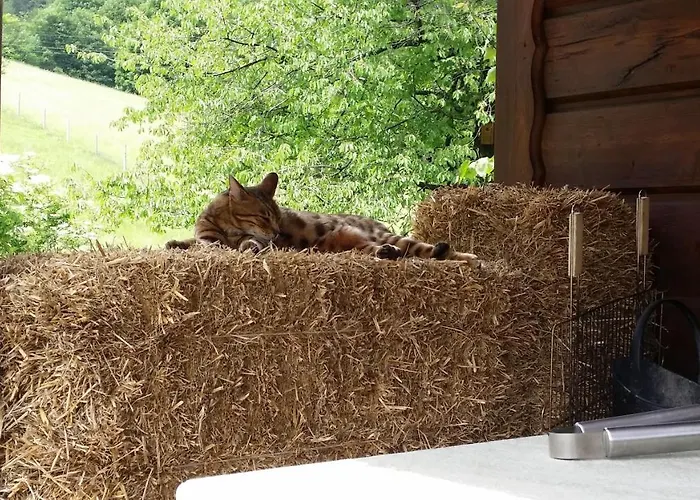 Wislanski Z Bajki Villa Wisła