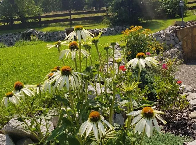 Wislanski Z Bajki Villa Wisła