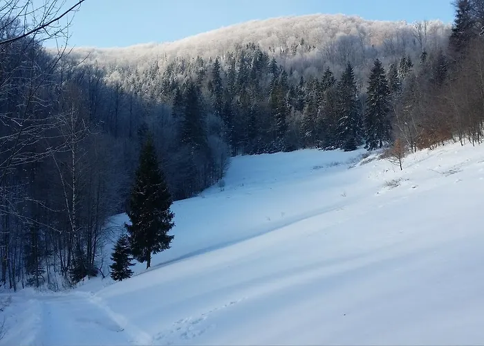 Wislanski Z Bajki * Wisła